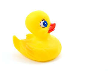 isolated toy rubber duck for playing in the bathroom