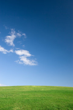 Empty green meadow and blue sky with few clouds