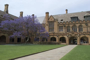 Foto op Canvas gothic revival architecture at sydney university, australia © Stephen Gibson