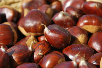 castagne dettaglio