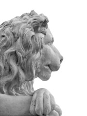 head of marble lion sculpture isolated on white