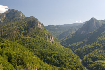 Fototapeta na wymiar Kanion rzeki Tara Czarnogóra