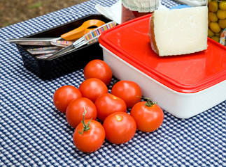 A picnic table with tomatoes,cheese,olives