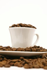 tasse de café en grains