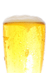 Medium shot of beer pint - crisp gold colors