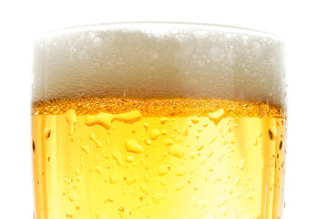 Close up of beer pint, gold crisp color