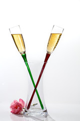 Two flutes of champagne and rose on white background