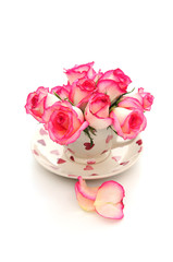 petals and roses in a pretty cup