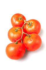 Fresh tomatos on white background