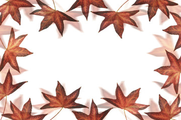 Red Leaves with Copy Space