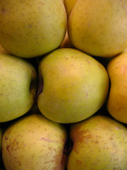 Manzanas