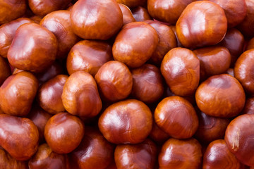 Autumn chestnut background