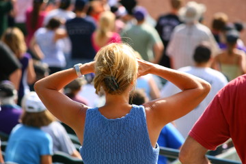 baseball fan
