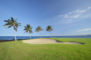 Fototapeta na wymiar Pole golfowe na wybrzeżu Oceanu lawy Kona Island, Hawaje