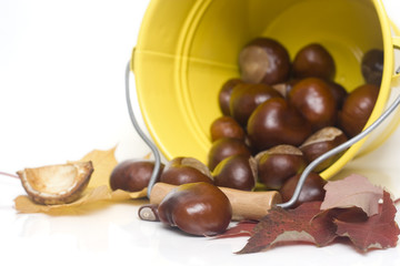 chestnuts spilling out from a yellow bucket