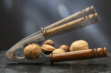 Frutta secca