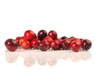 Preiselbeeren