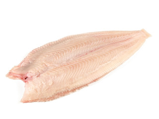 Seezunge