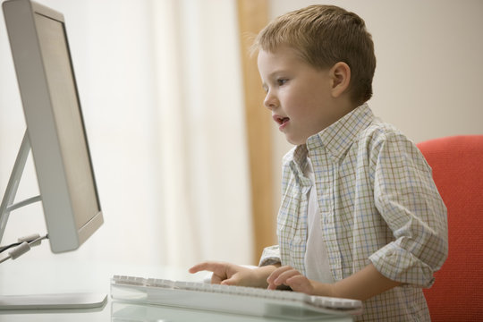 Young boy using the computer