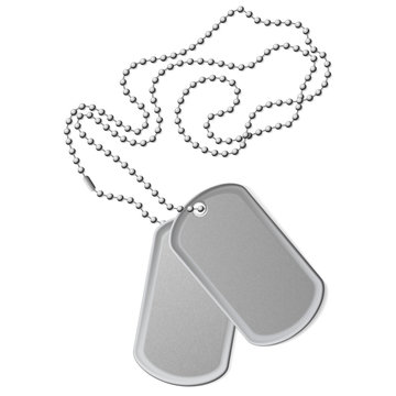 Two Blank Dog Tags stock vector. Illustration of white - 232894588