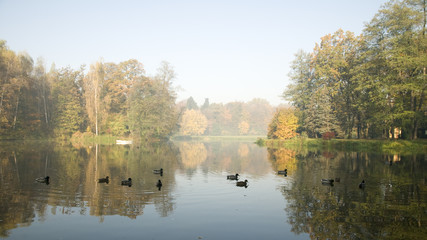 Hazy morning in autumn park