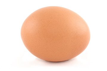 egg isolated