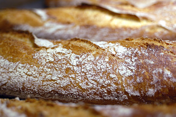 baguettes traditionnelles