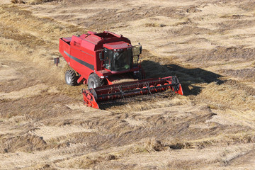 Obraz premium Machine harvesting the corn field