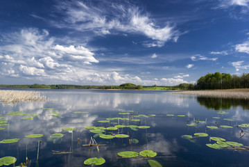 Lake view with water lilies. Mazury, Poland. aRGB.