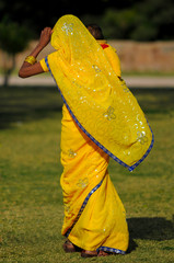 Indian lady in Sari