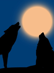 Howling pair of wolves over night sky