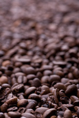 Verlauf aus vielen Kaffeebohnen
