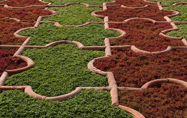 Indian style garden