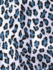 Vintage animal fur texture