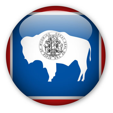 Wyoming state flag button