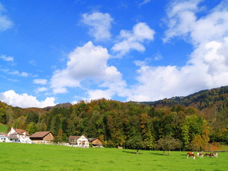 vallée alpine...automne