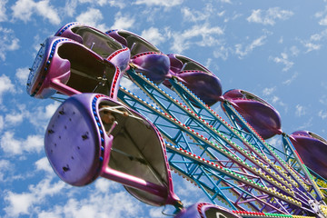 Popular attraction in park