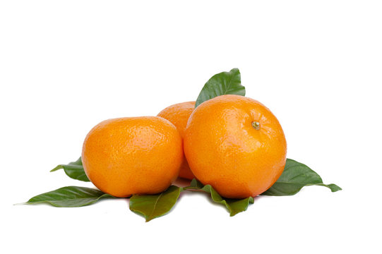 oranges with green leaves over white background