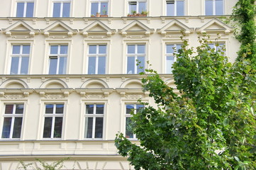 Façade claire classique et arbre vert, Berlin, Allemagne.