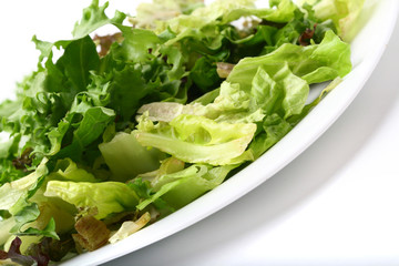 salad isolated on white background