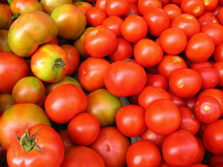 Parada de tomates 1