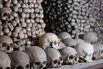 Skulls and bones stacked to make an opening