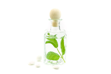 Jar with fresh leaves (SPA concept)