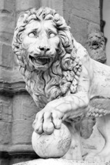 Lion statule Florence Tuscany black white