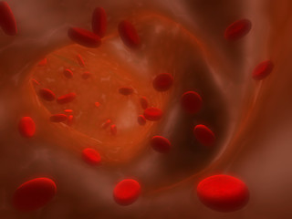 Many red erythrocytes, floating on an artery