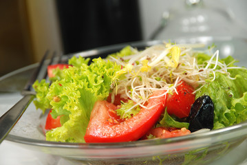 Salat mit Sprossen