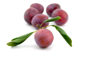 plums isolated on white background