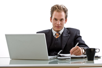 Businessman working on laptop computer, smiling,