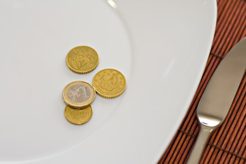 Euro coins on the empty plate