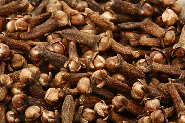 Fototapeta premium chiodi di garofano